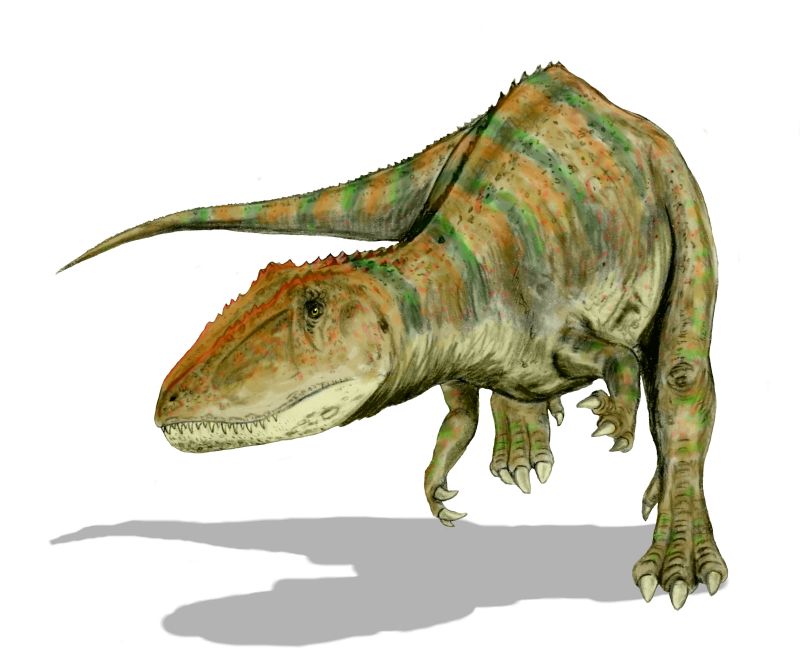 http://www.oldearth.org/curriculum/dinosaur/Carcharodontosaurus_BW.jpg