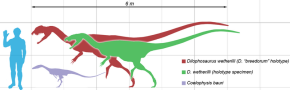 Coelophysis scale