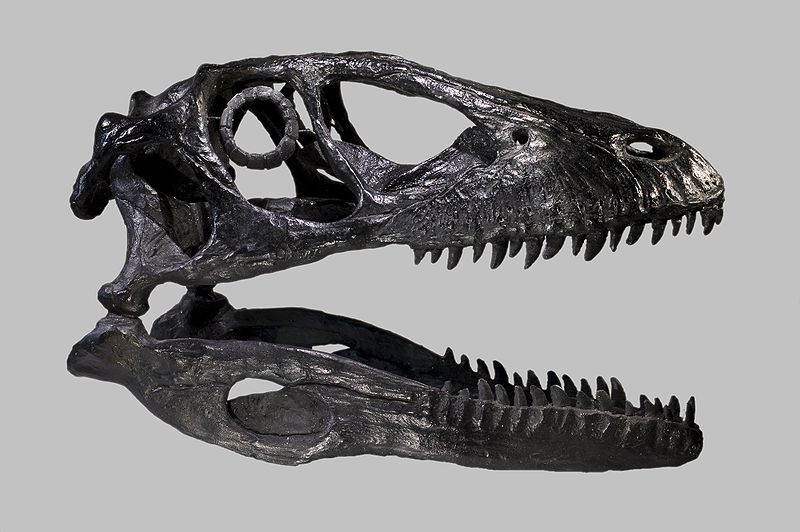 Old Earth Ministries Online Dinosaur Curriculum