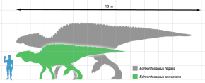 Edmontosaurus scale