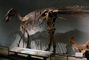 Edmontosaurus