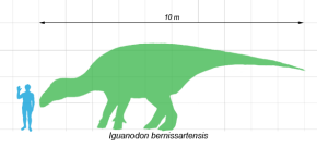 Iguanodon scale