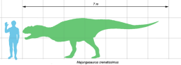 Majungasaurus scale
