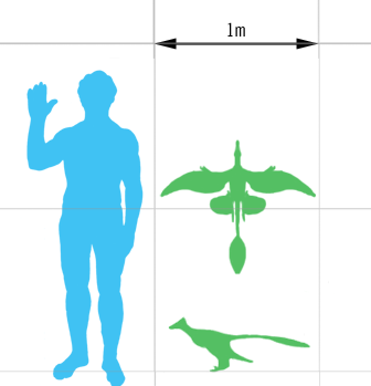 Microraptor Scale