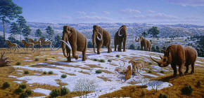 Pleistocene Animals
