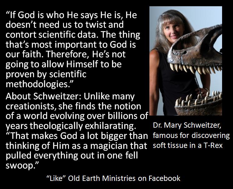 Dr. Mary Schweitzer