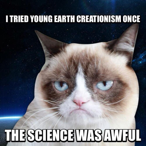 Old Earth Ministries Grumpy Cat