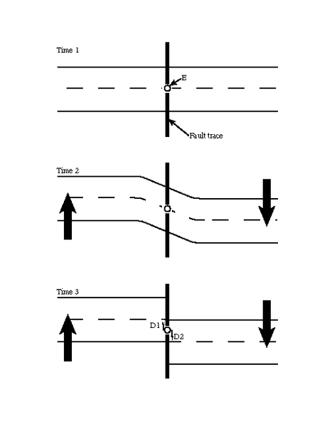 Elastic Rebound