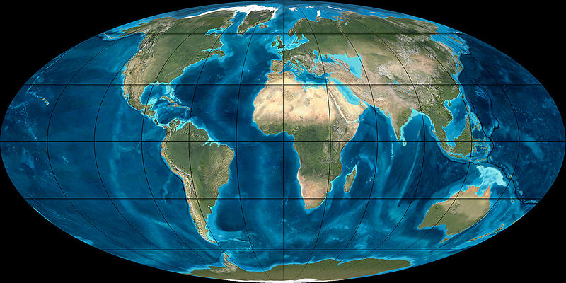 miocene period