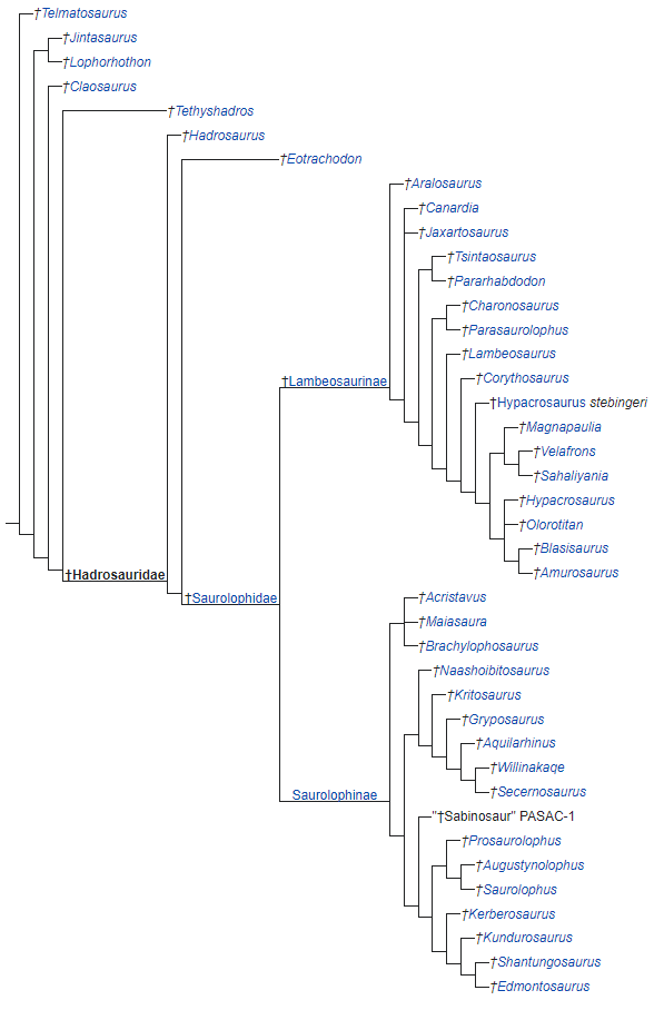 hadrosauridae cladogram